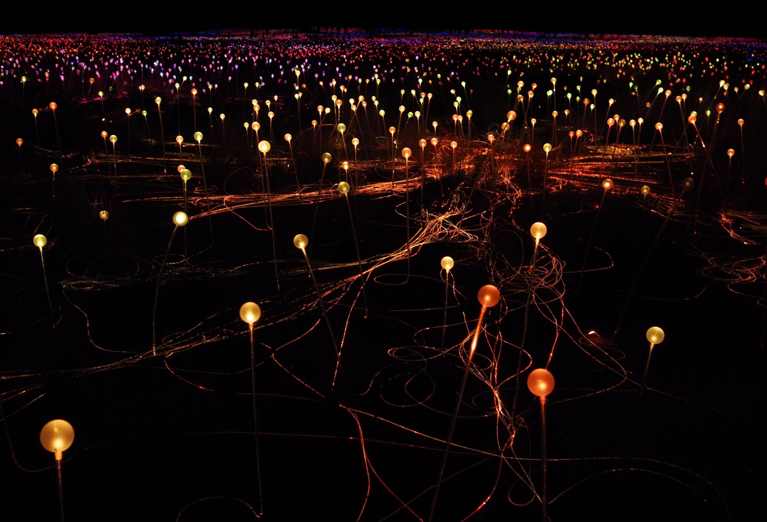 Bruce Munro’s Field of Light exhibition will run till the end of March 2018