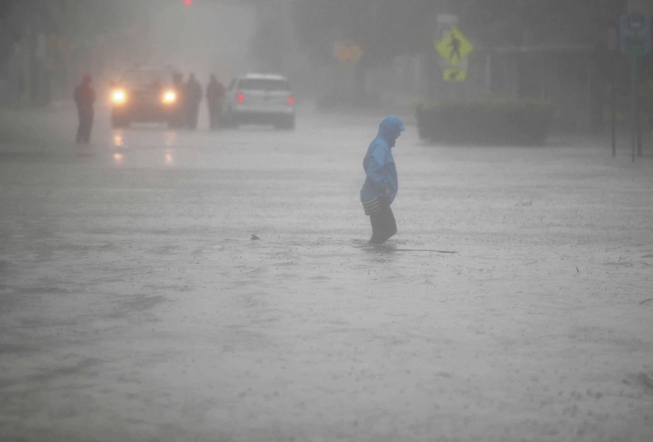 The hurricane is as large as the entire state