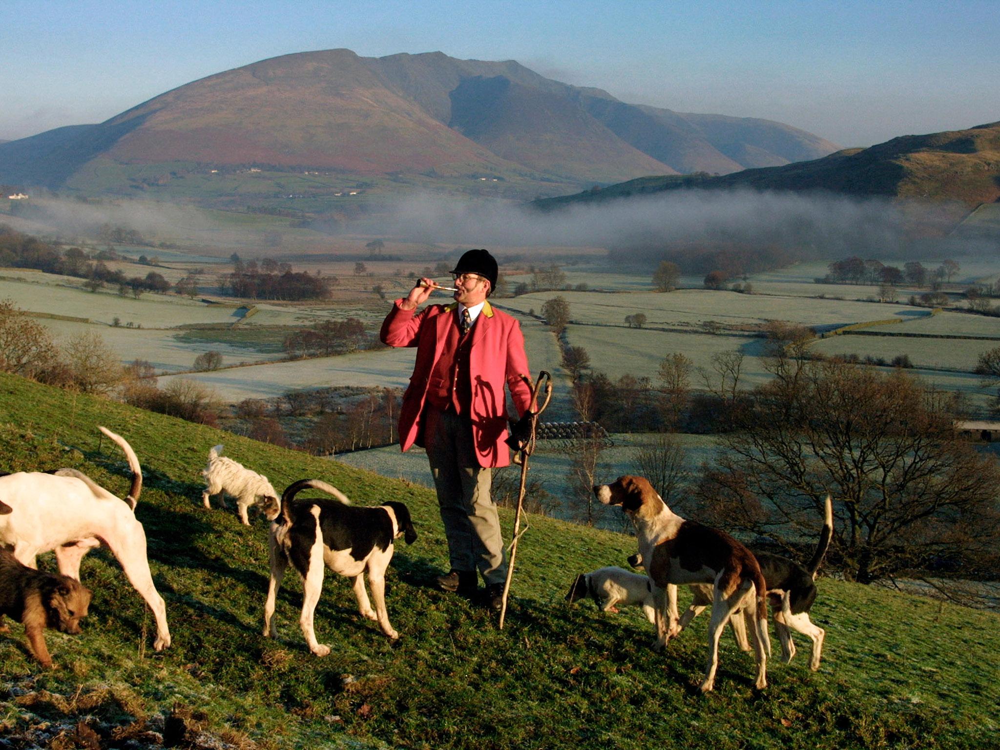 The Blencathra pack, which hunted for foxes in Cumbria using fell hounds