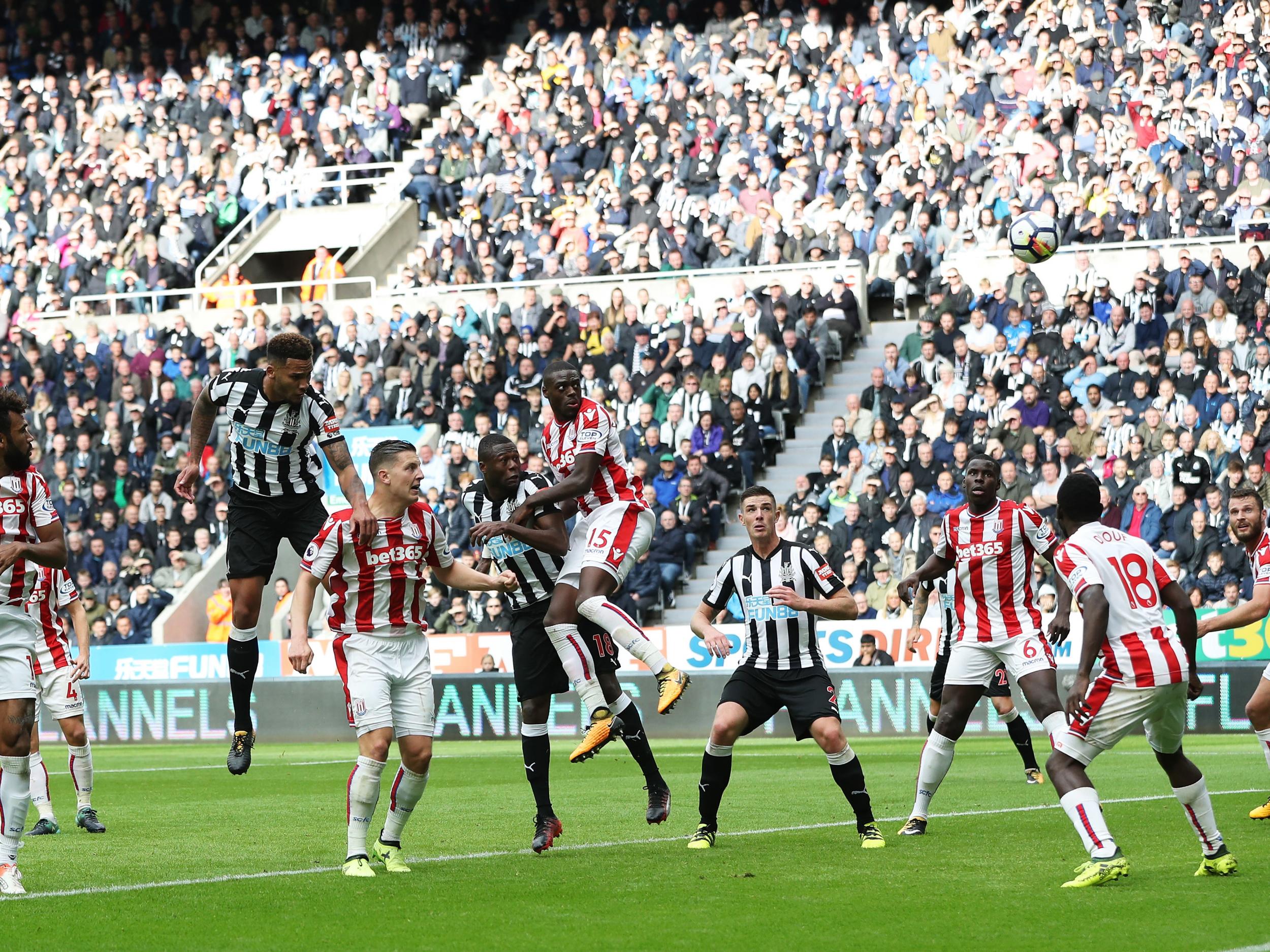 Lascelles gave Newcastle the lead