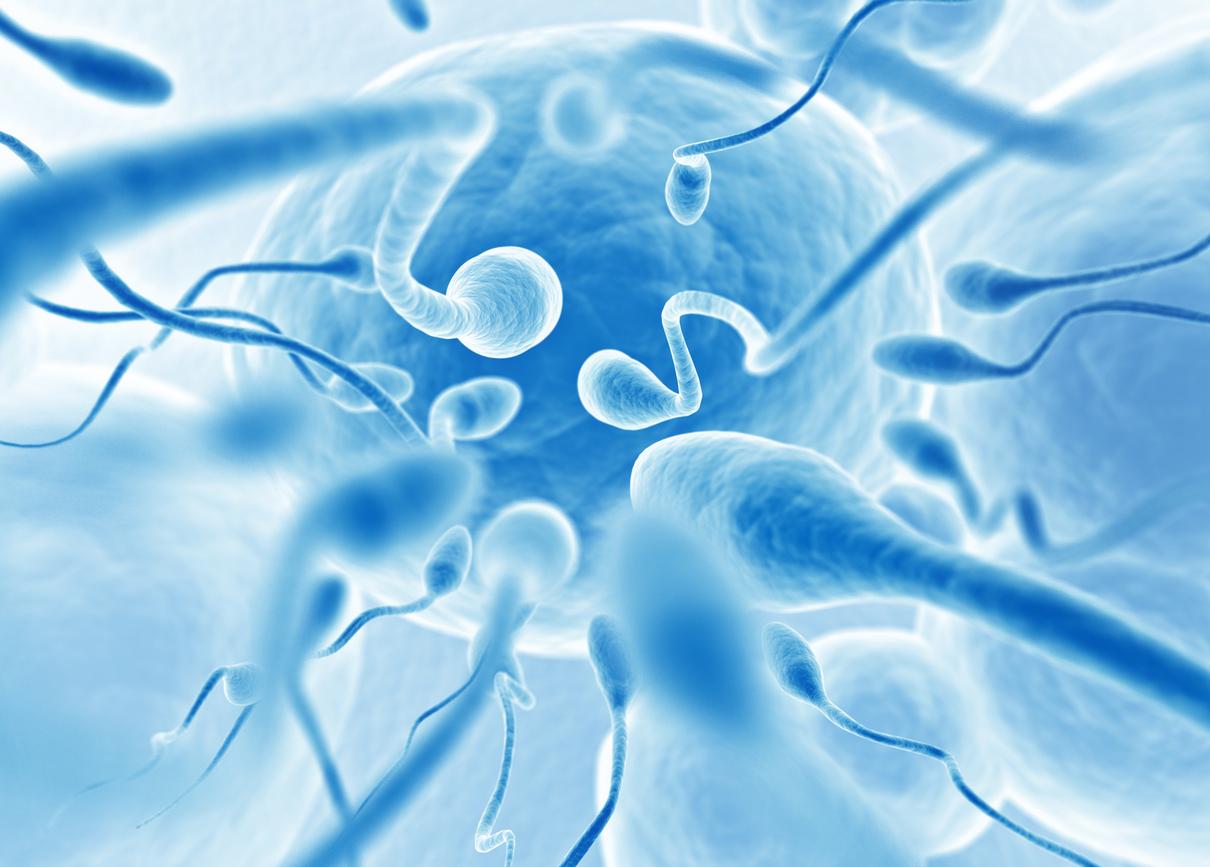 Male reproductive health is in decline