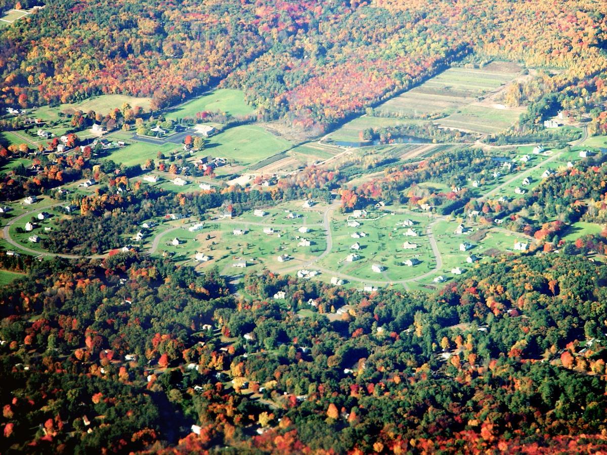 Forests are being cleared in New England to make way for housing and other forms of development at a rapid pace