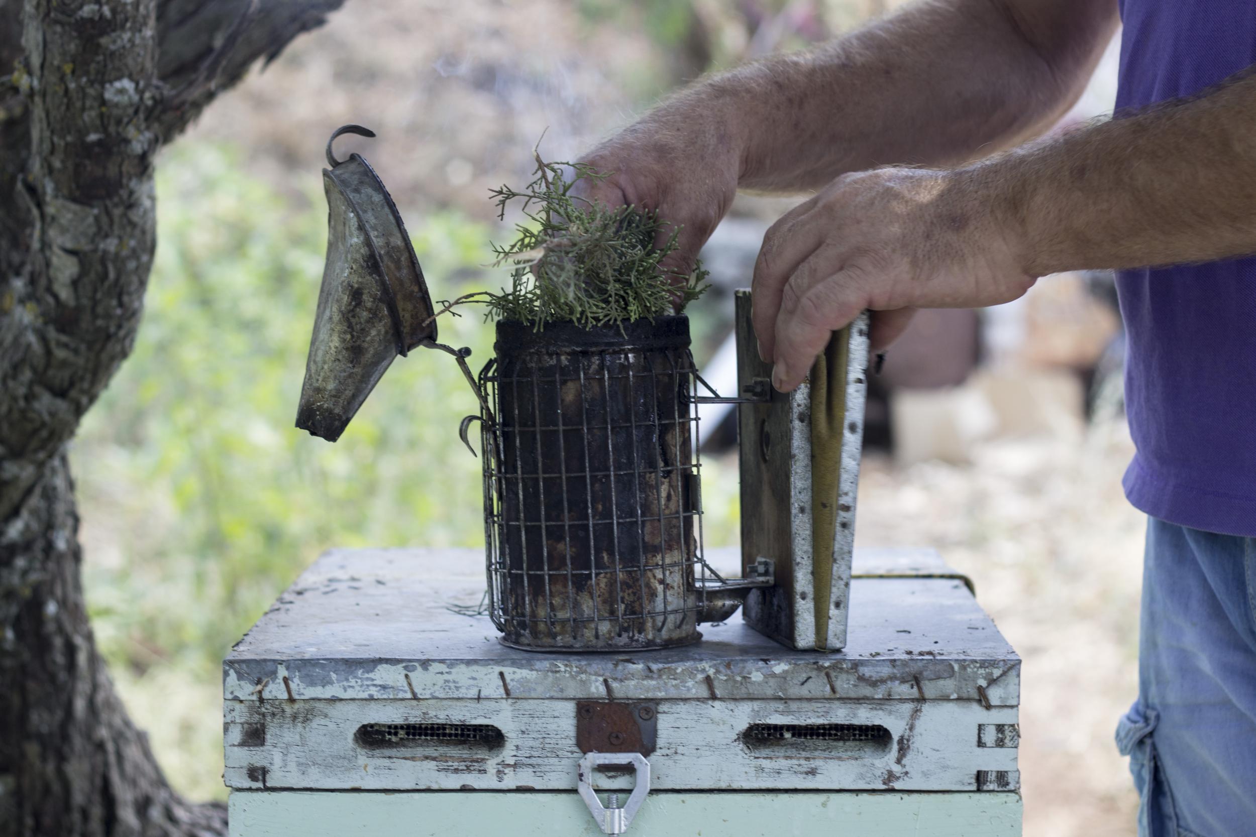 A real buzz: Vasili uses his grandfather’s beekeeping equipment