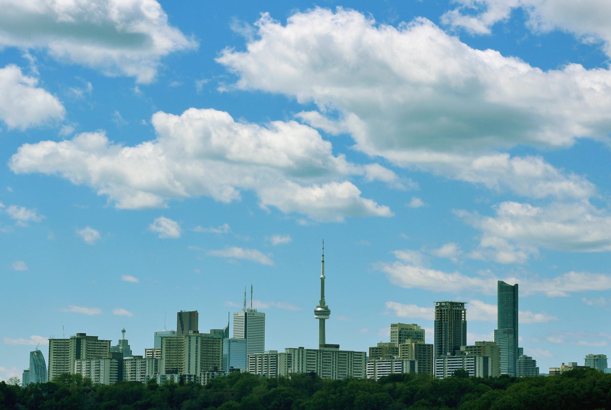 Toronto’s underground forest is being marketed as an urban park