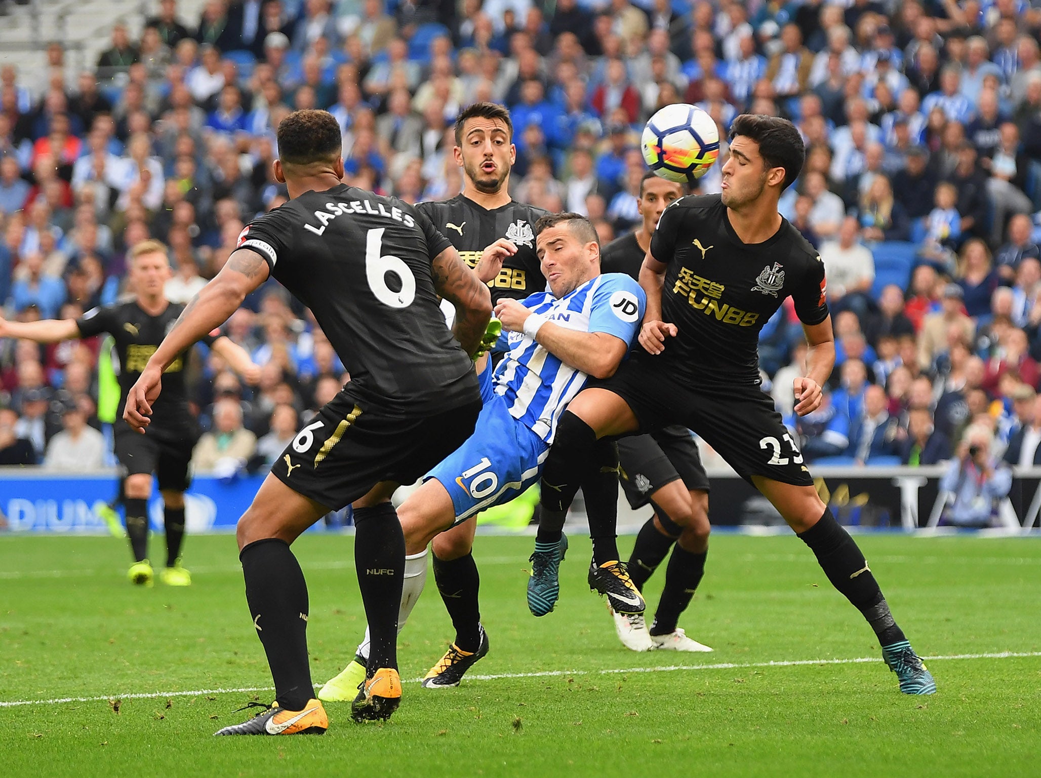 Hemed's hooked finish won the game for Brighton