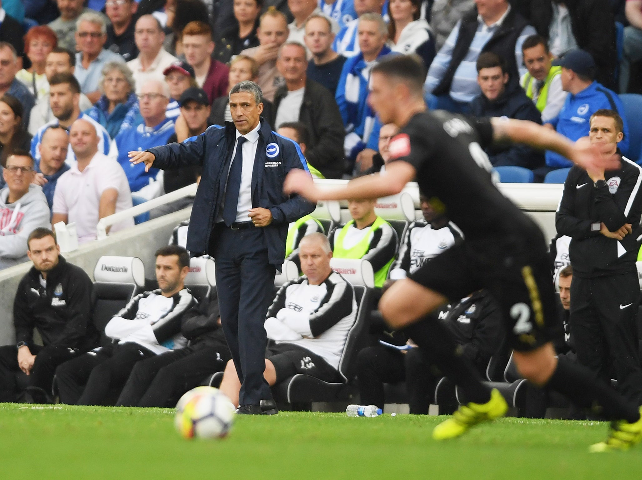 Hughton insisted the collision was accidental