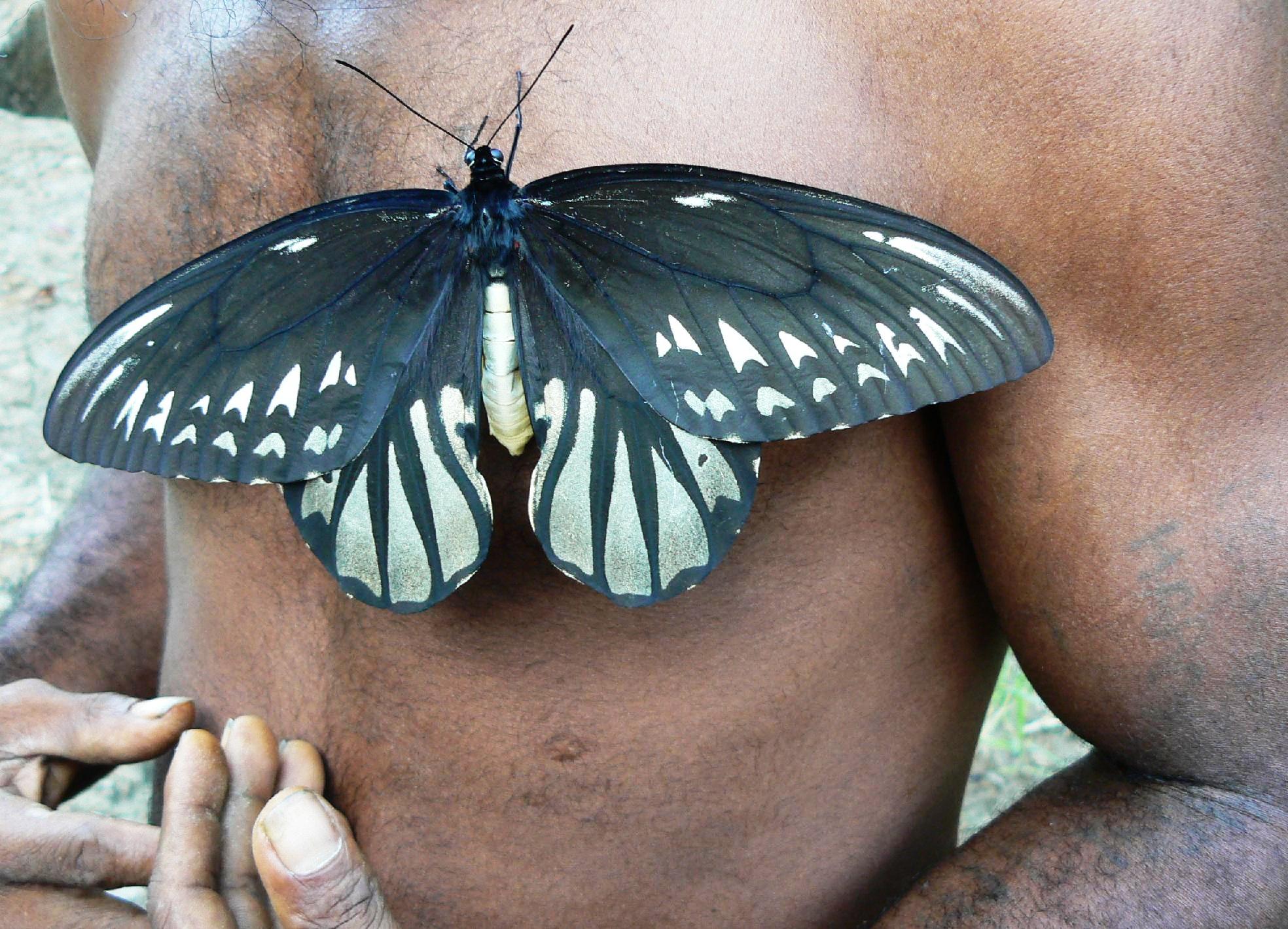 Local landowner with a female butterfly