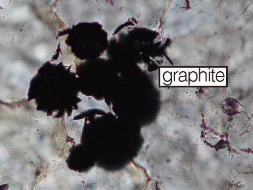 This unprepossessing splodge of graphite in sample of chert rock could be the earliest known sign of life on Earth