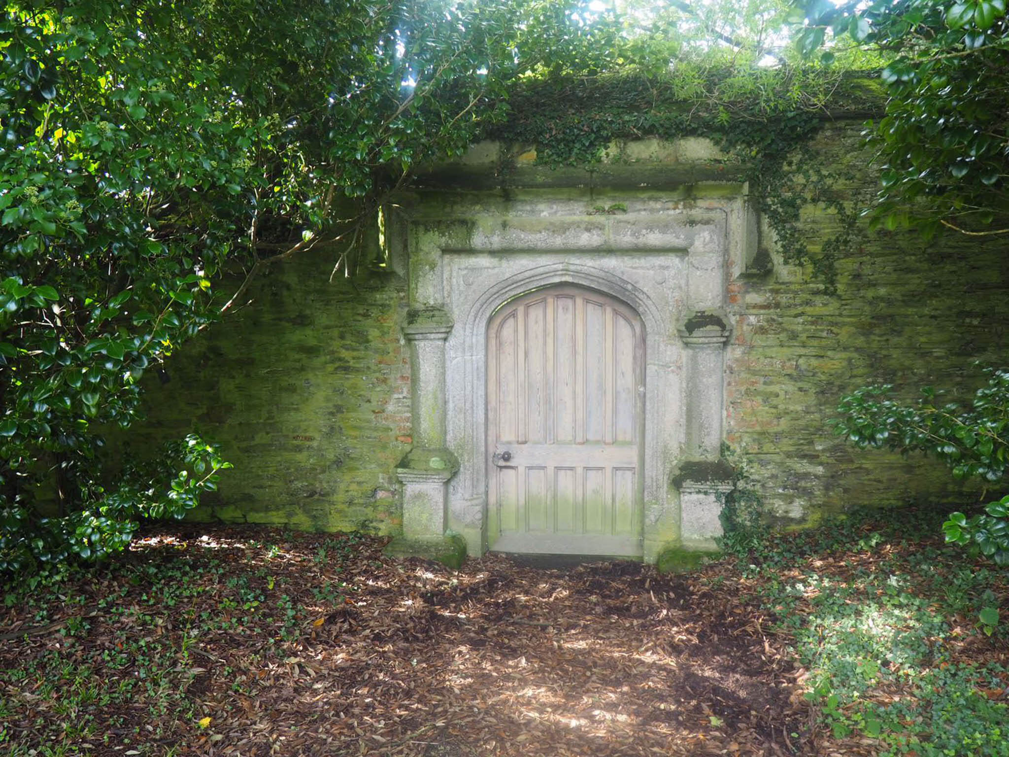 Behind the door to the kitchen garden sit the original tea plants which are almost 20 years old