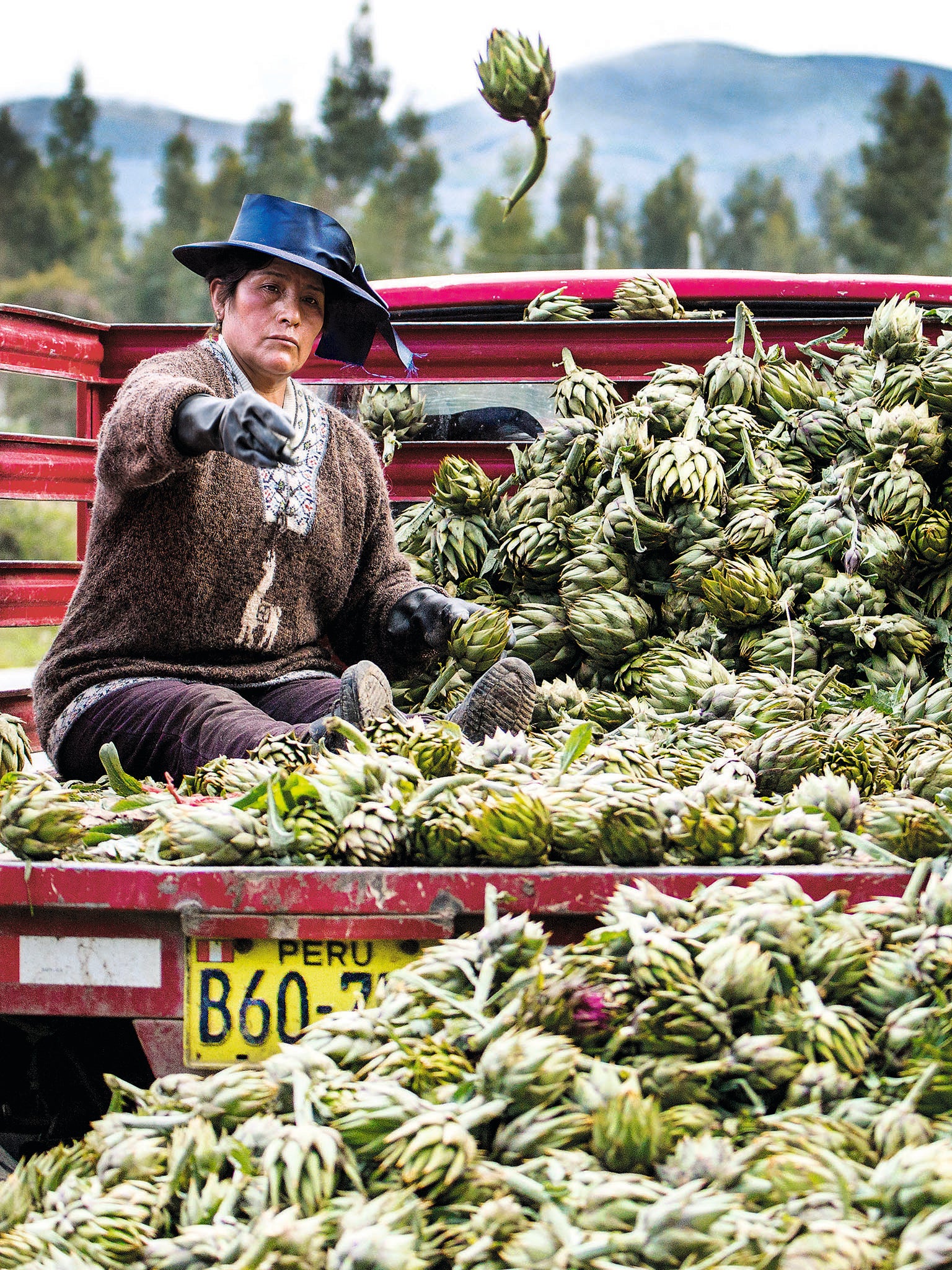 Migrants bring both their labour and cooking influences to Arequipa