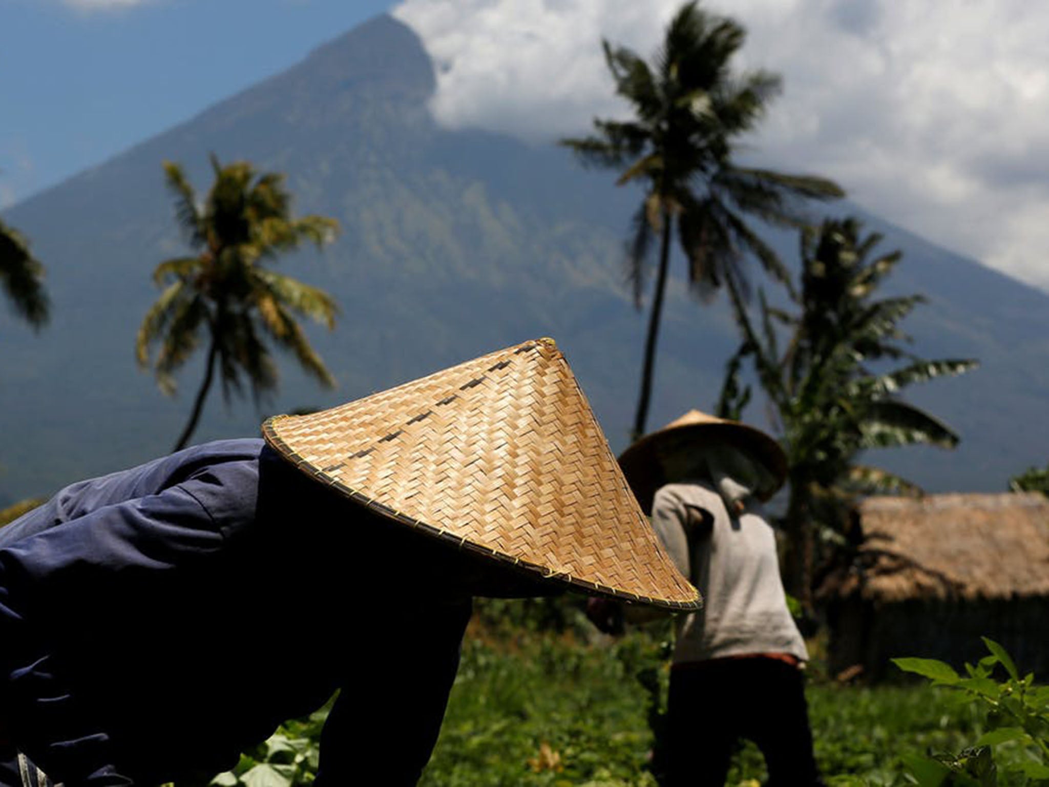 Hot property: Balinese farmers work on the land surrounding the volcano