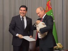 Putin given puppy as birthday present from President of Turkmenistan