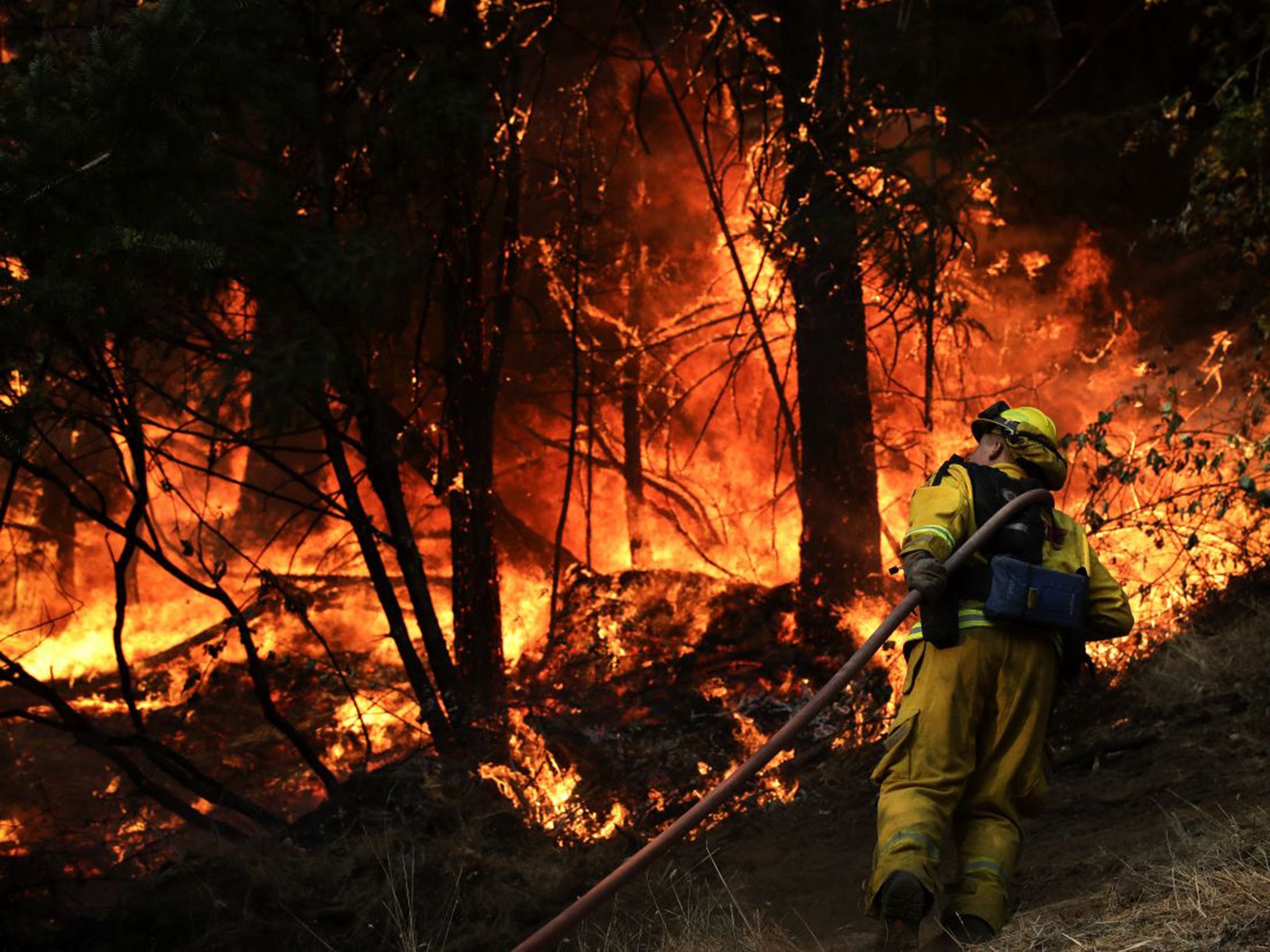 Firefighting along Highway 29 near Calistoga, California