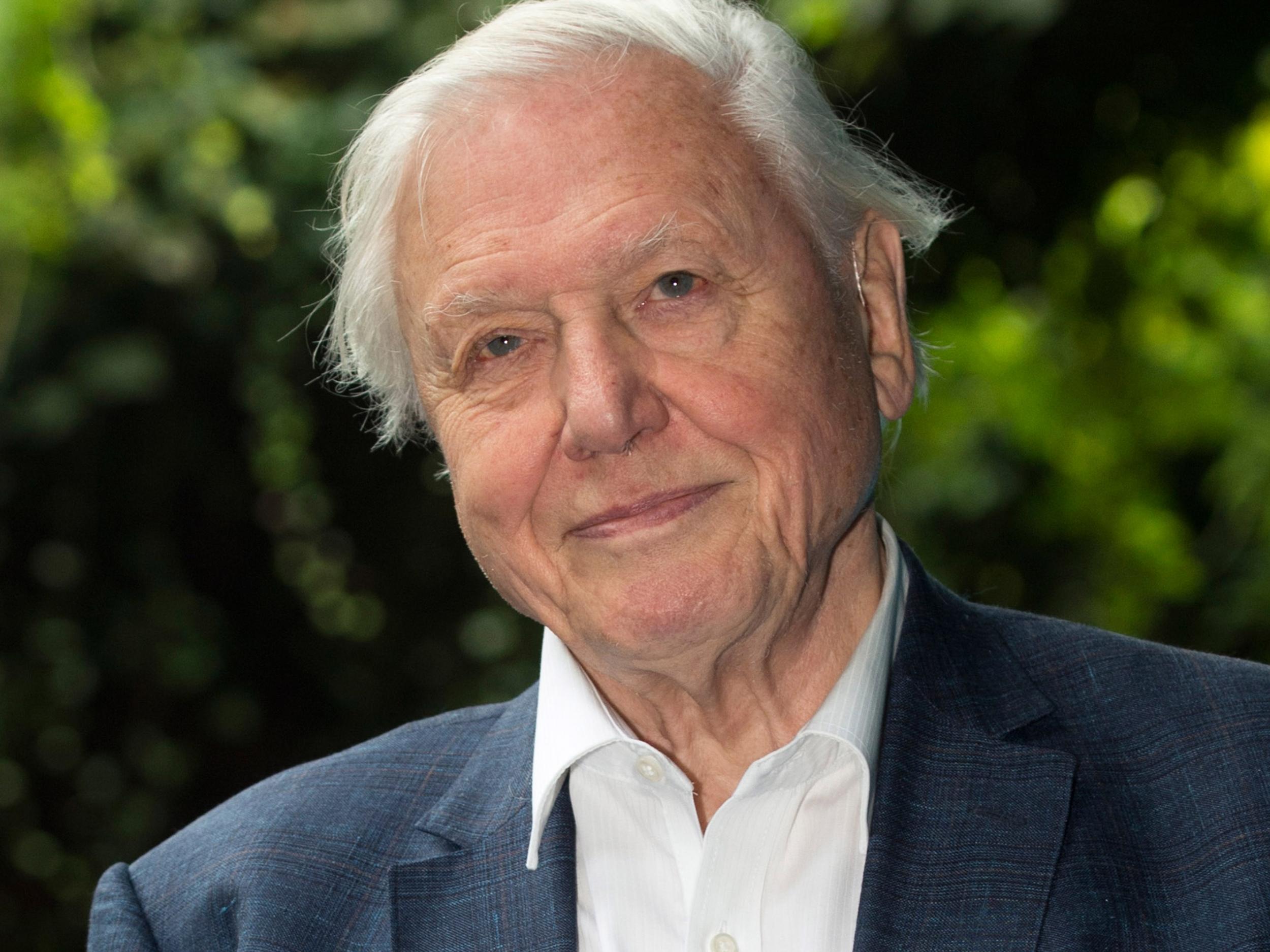 Sir David Attenborough at the premiere of Blue Planet II, his BBC programme exploring the world's oceans