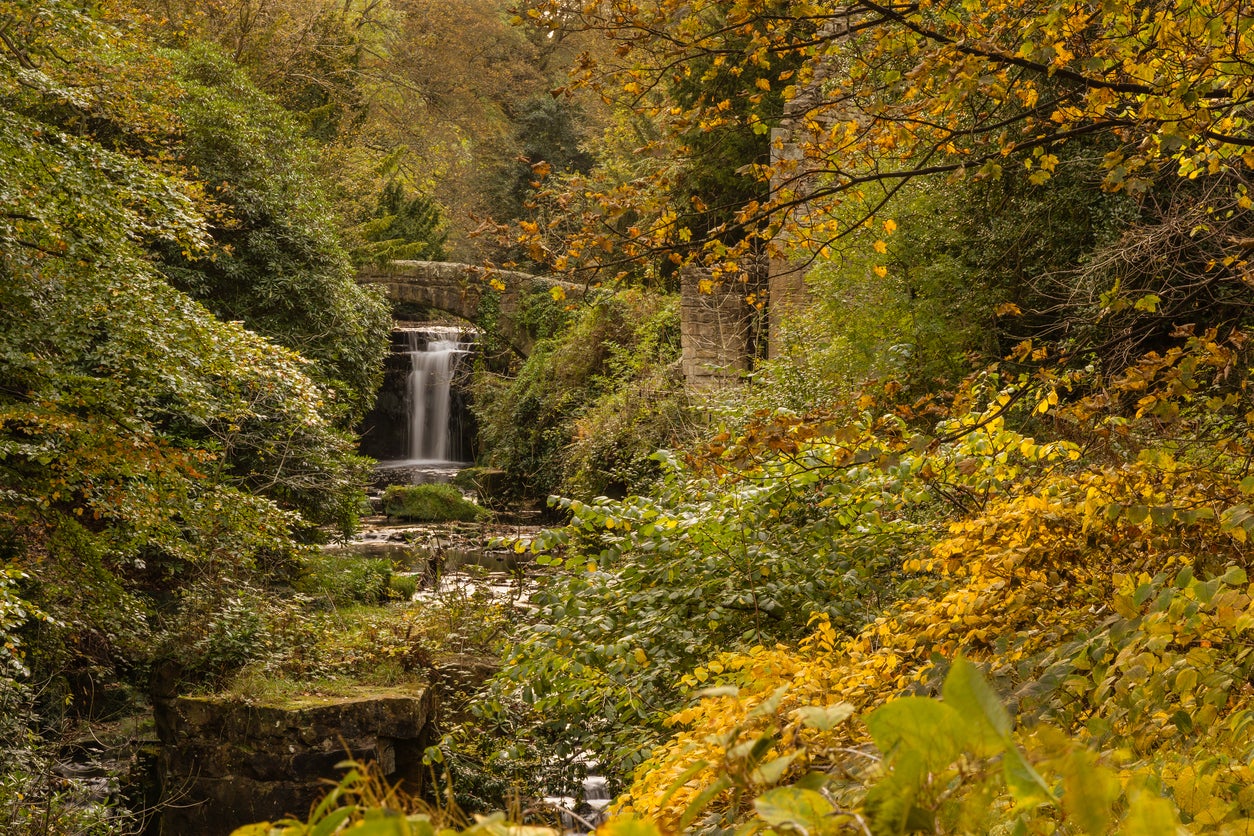 Wander the lush parkland of Jesmond Dene and check out its ruined windmill (iStock)