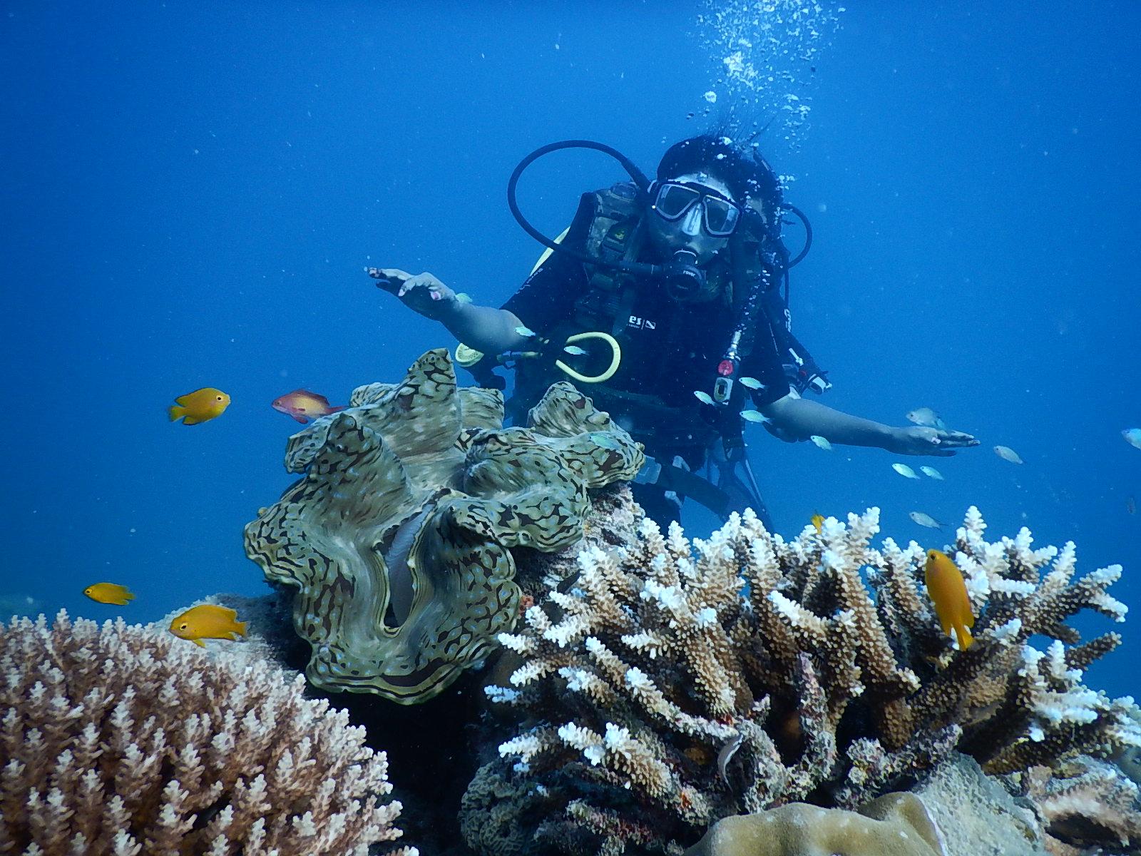 Havelock is known as a diving destination, thanks to the three brothers