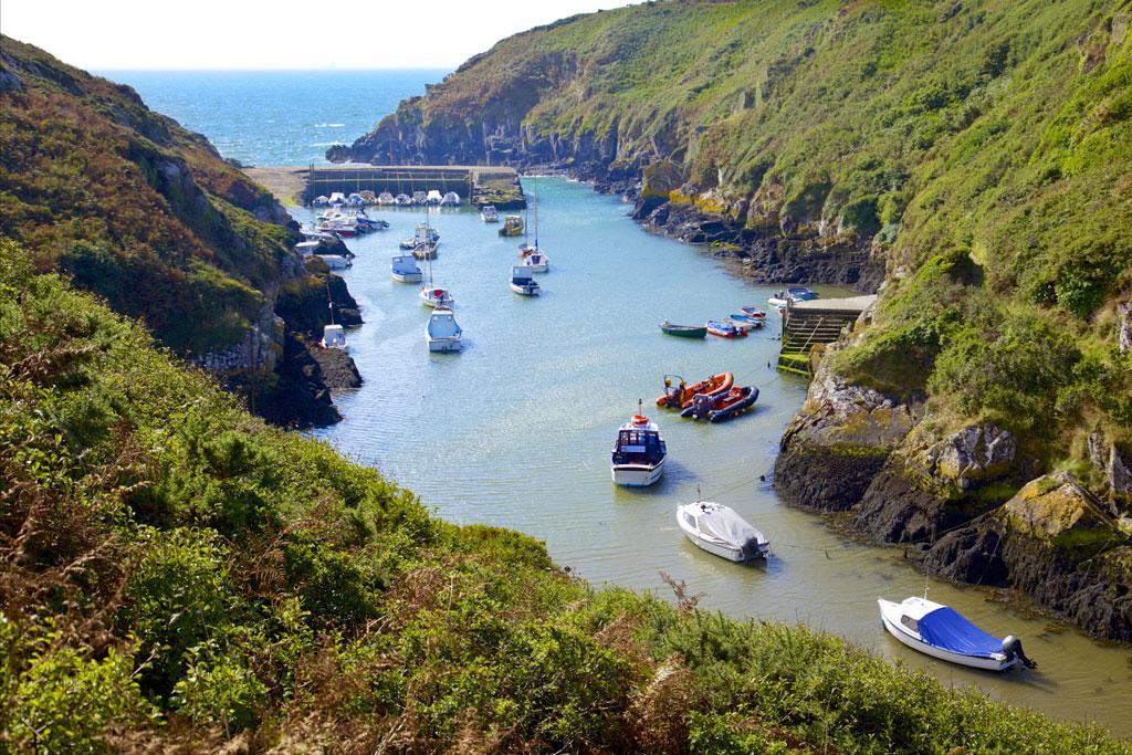 Hike or bike around the Pembrokeshire Coast National Park exploring sights such as the Porthclais Harbour