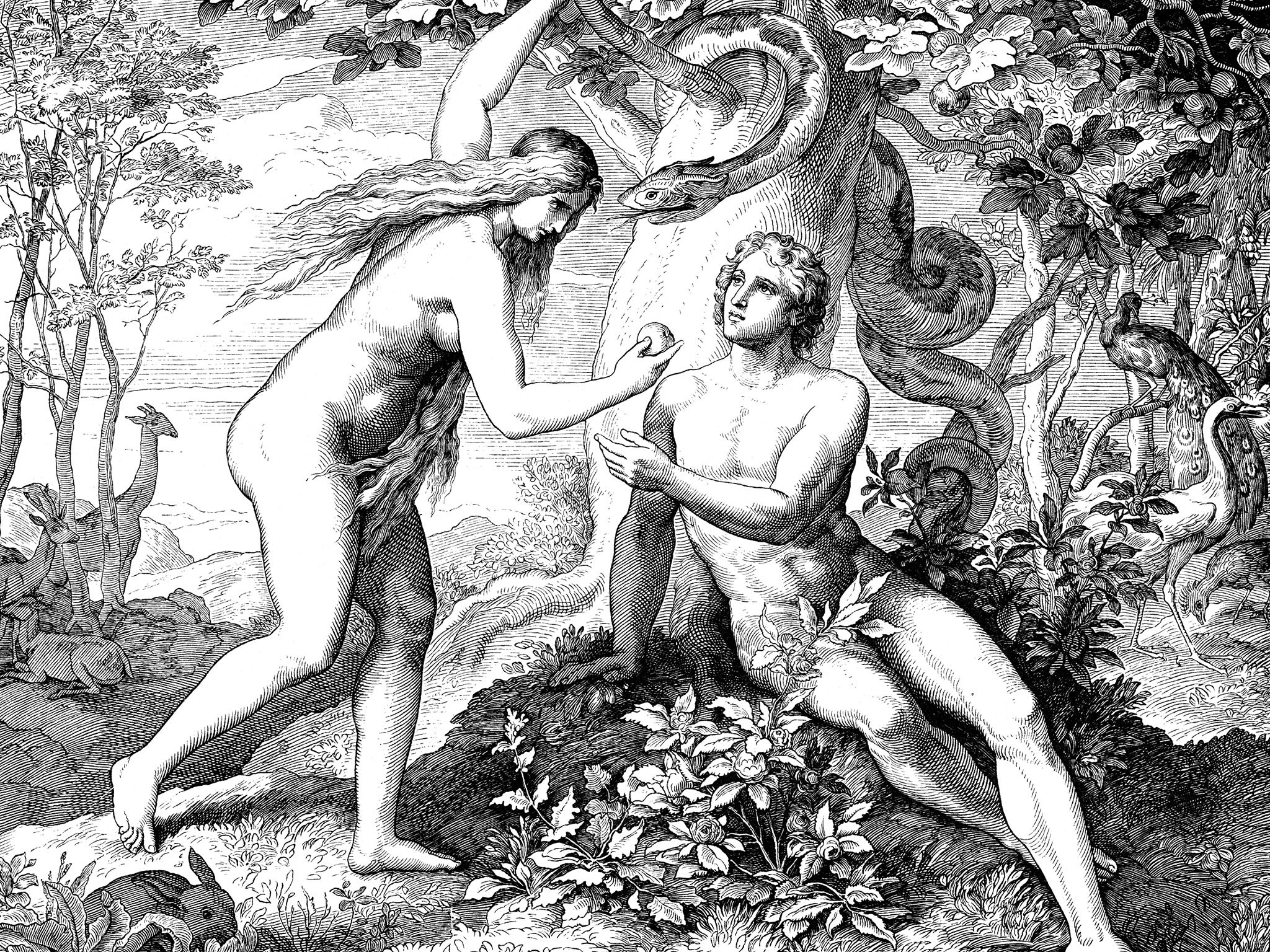 When Adam and Eve have sex (a bad idea clearly) they do not have sex, they pluck the fruit from the Tree (Getty)