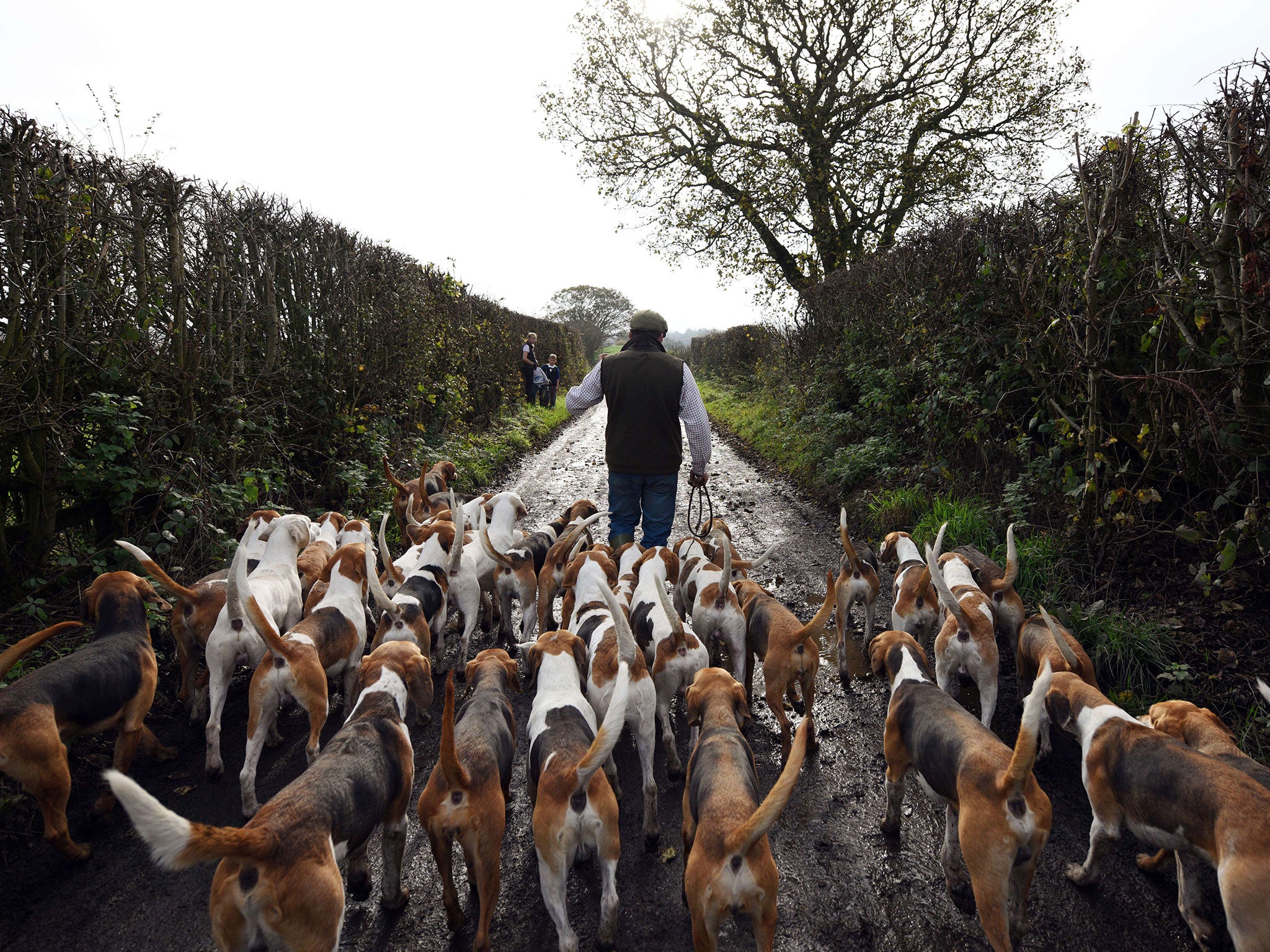 The Holcombe Hunt near Bury is one of the UK's oldest hunts, whose lineage is traceable back to 1086; today they practice trail hunting