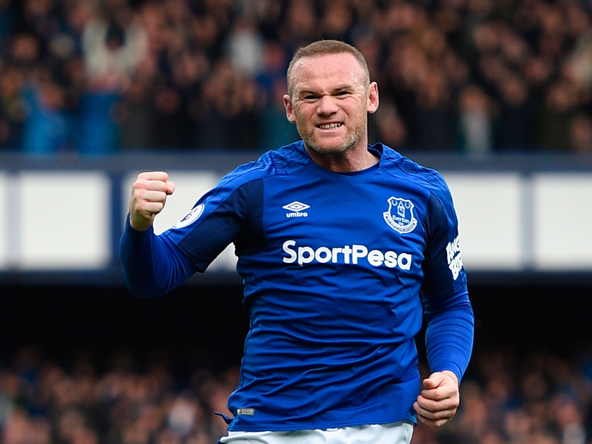 Wayne Rooney celebrates putting his side ahead