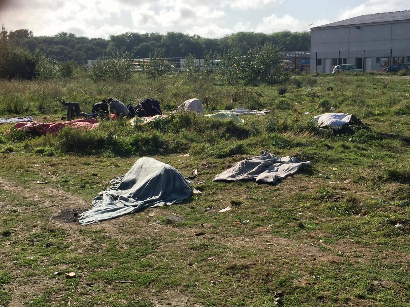 Shrubland where hundreds of young refugees reside day to day in Calais as they attempt to board lorries to the UK