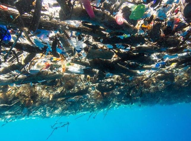 Image of the tide of plastic taken from below the waterline