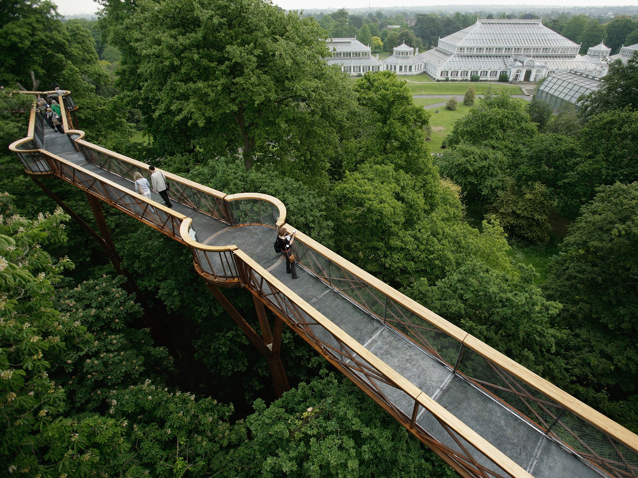 The Treetop Walkway at Kew Gardens (Getty)