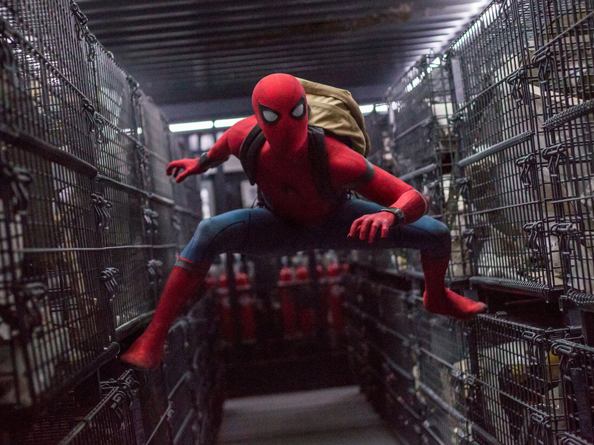 ‘Spider-Man: Homecoming’ (2017) grossed over $880m on a $175m budget (Rex)