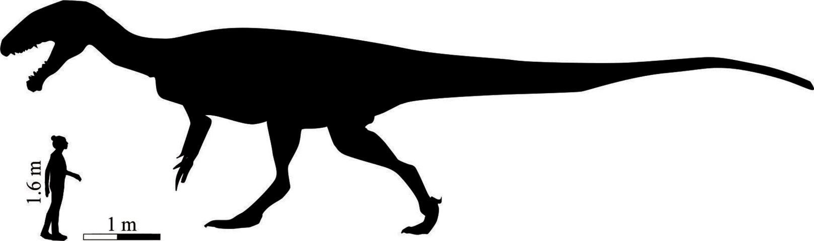 A scale diagram demonstrating just how large this dinosaur is