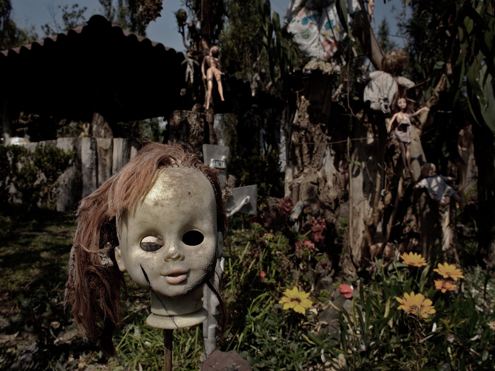 A doll hangs on a fence on the Island of the Dolls in Xochimilco (Alamy)