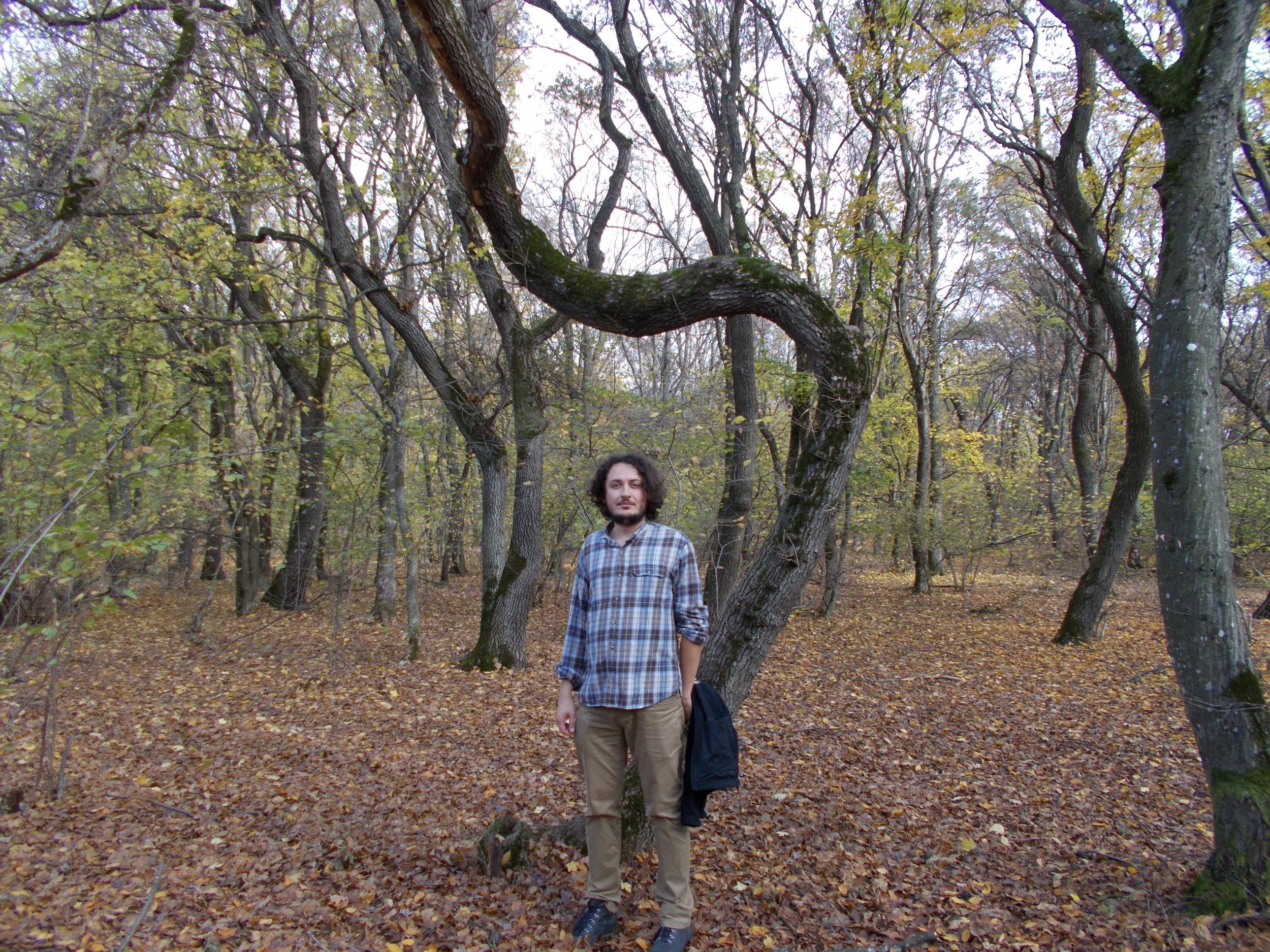 Alex and his haunted trees