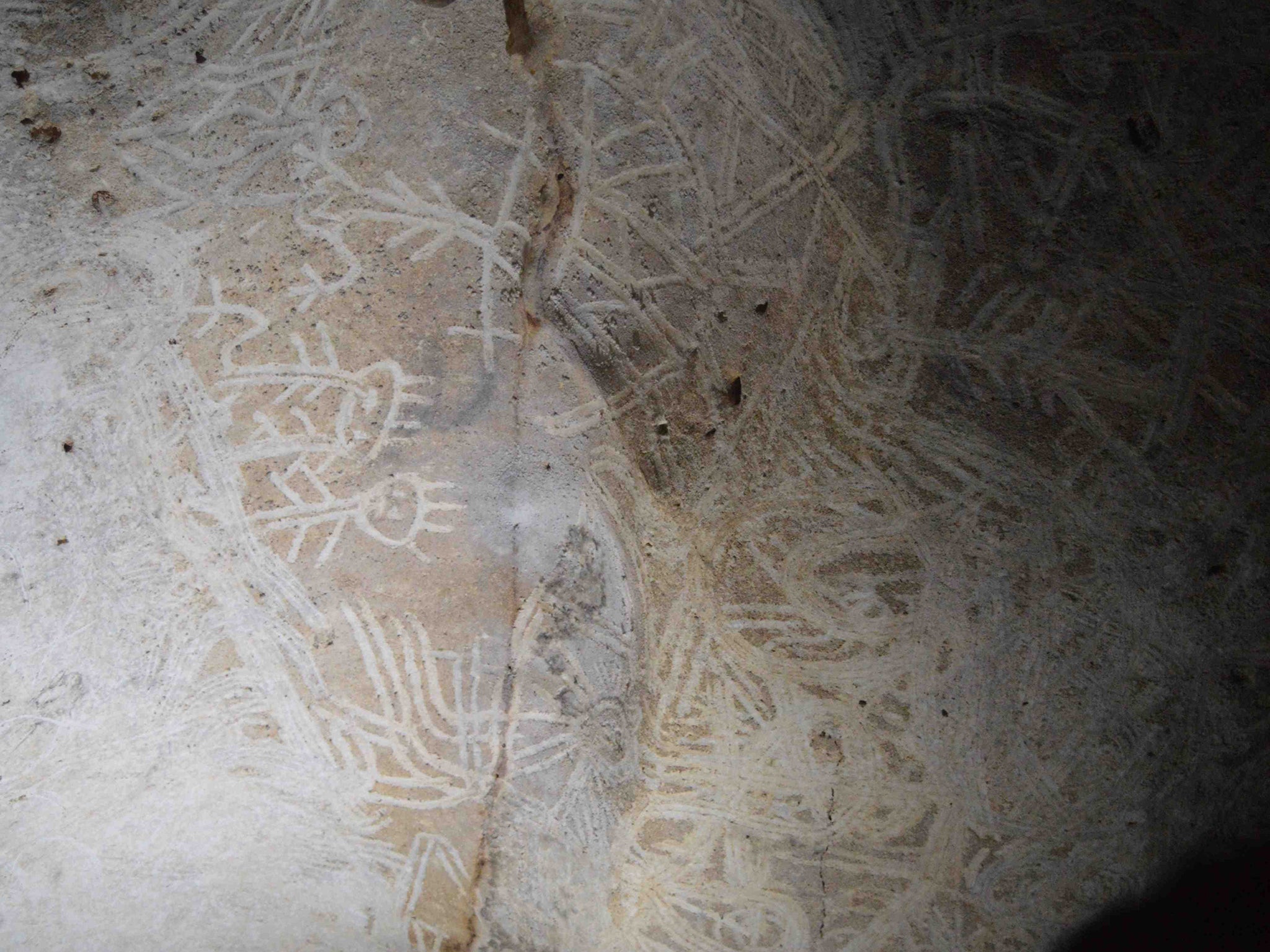 Indigenous finger-fluted motifs on cave ceiling