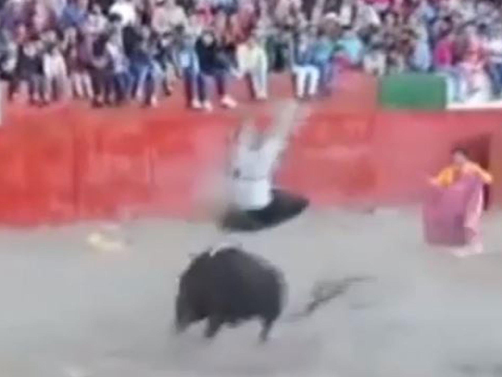 The bull throws the man into the air several times