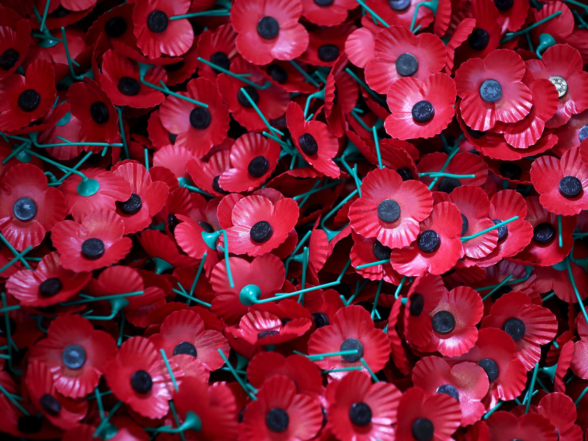 Clubs wear poppies stitched into their shirts