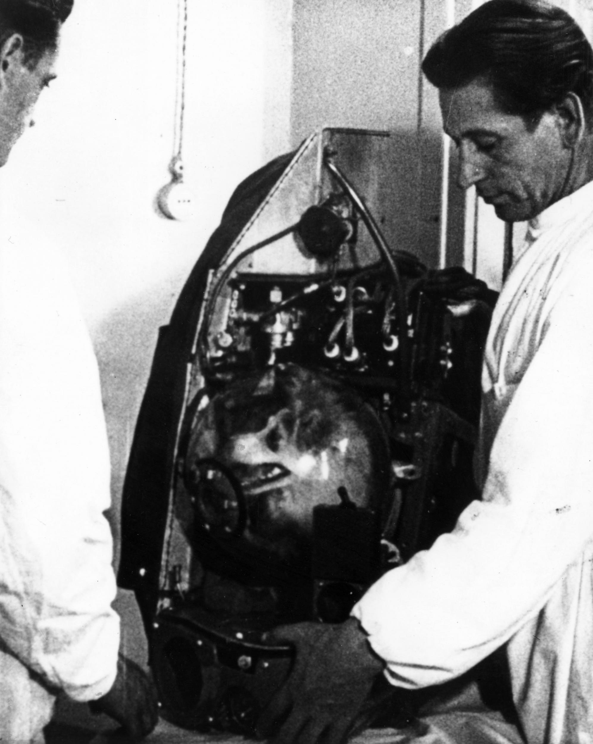 Laika, the Soviet satellite dog in the specially designed space equipment in Sputnik 2