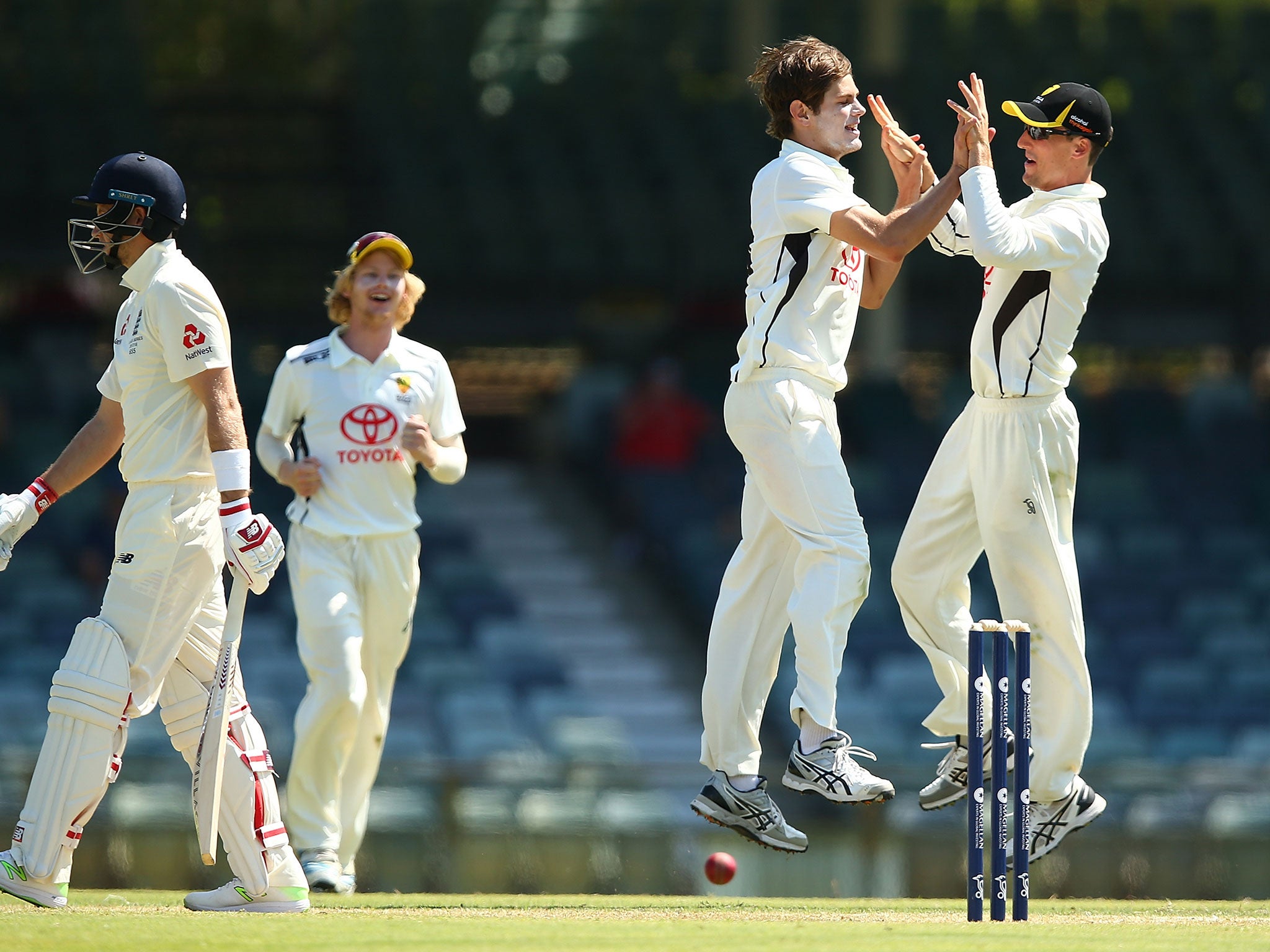 Aaron Hardie and Nick Hobson celebrate the wicket of Joe Root