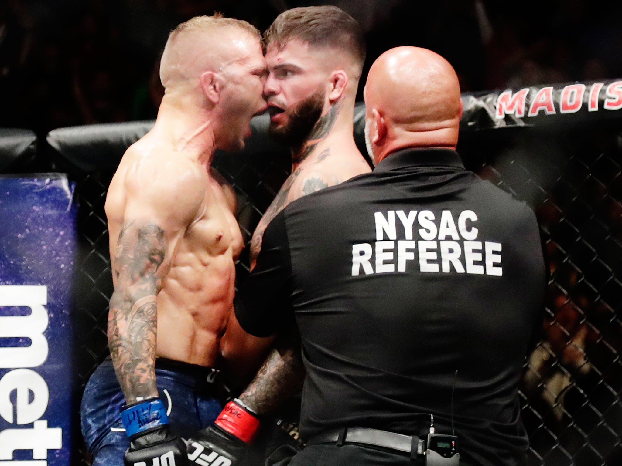 Cody Garbrandt led the trash talk yet it was TJ Dillashaw who had the last laugh