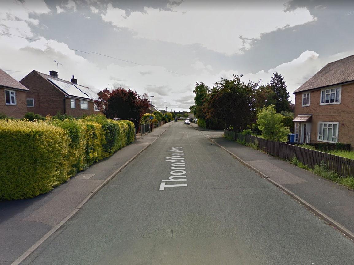 The passer-by found the cat on Thorndike Avenue in Alvaston, Derby