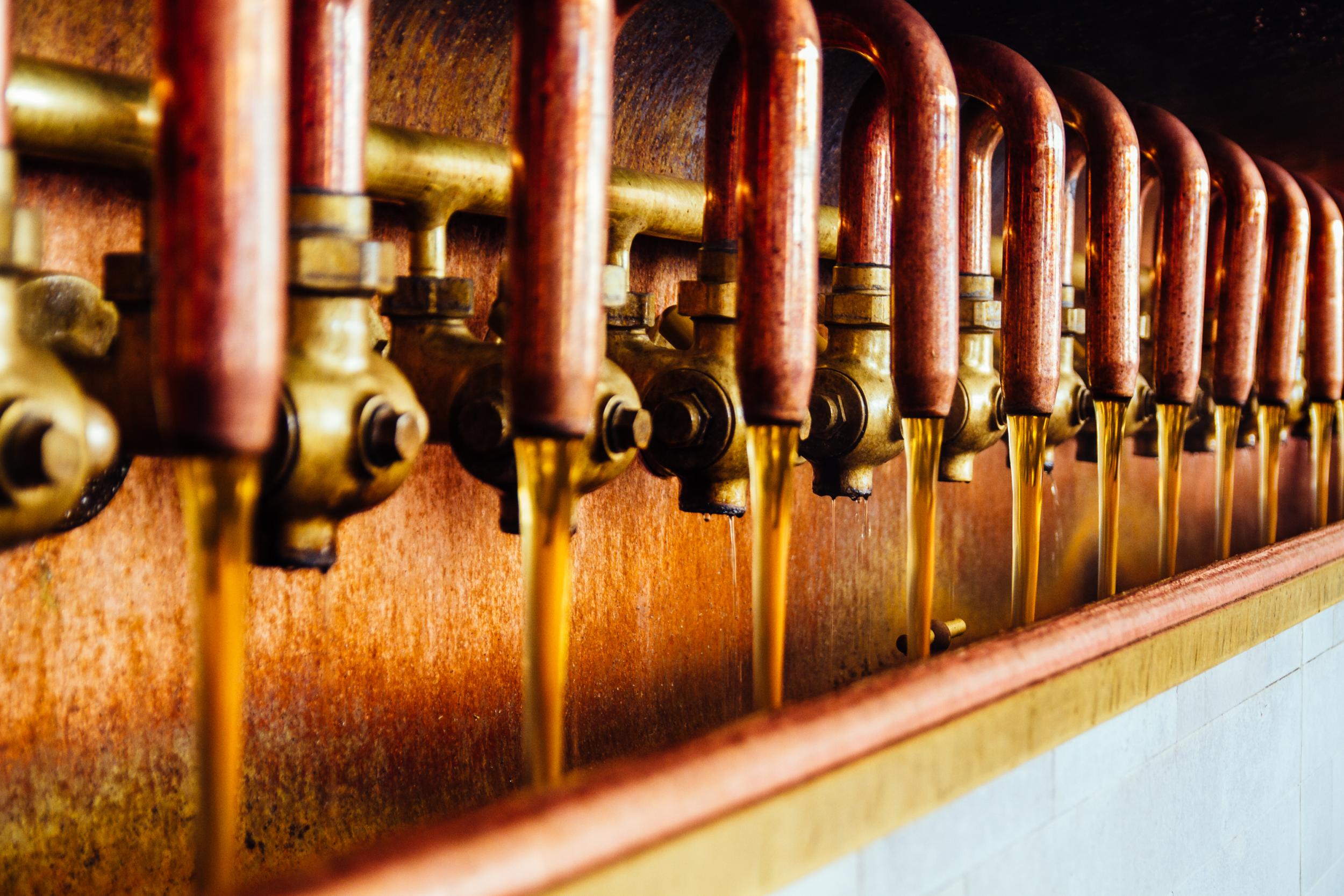 Budweis is the capital of Czech brewing, and Budweiser Budvar is the largest and oldest brewery in town