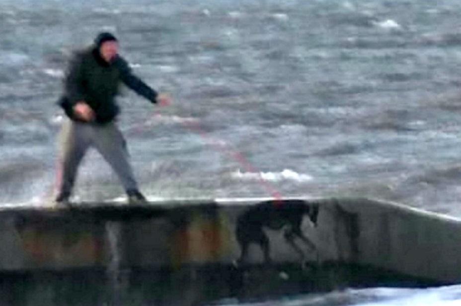 The man was reportedly seen throwing the dog into the water repeatedly