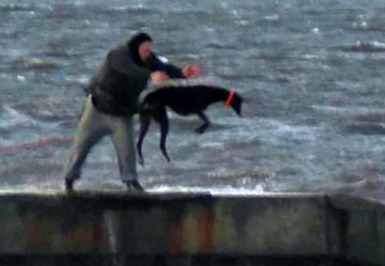 The moment a heartless dog owner appears to throw his terrified pet greyhound into the freezing sea