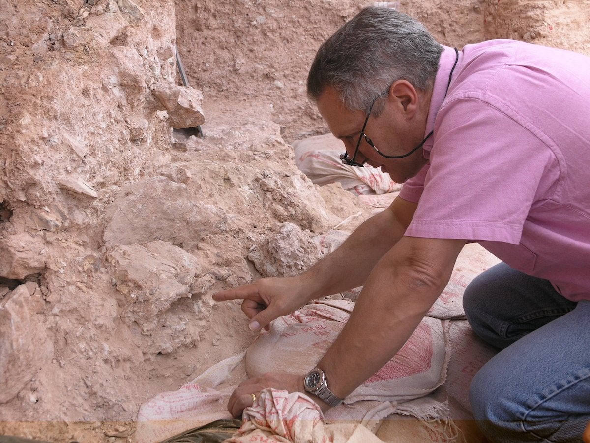 Anthropologist Jean-Jacques Hublin showing off one of the finds, a crushed human skull whose eye orbits are visible just beyond his fingertip.