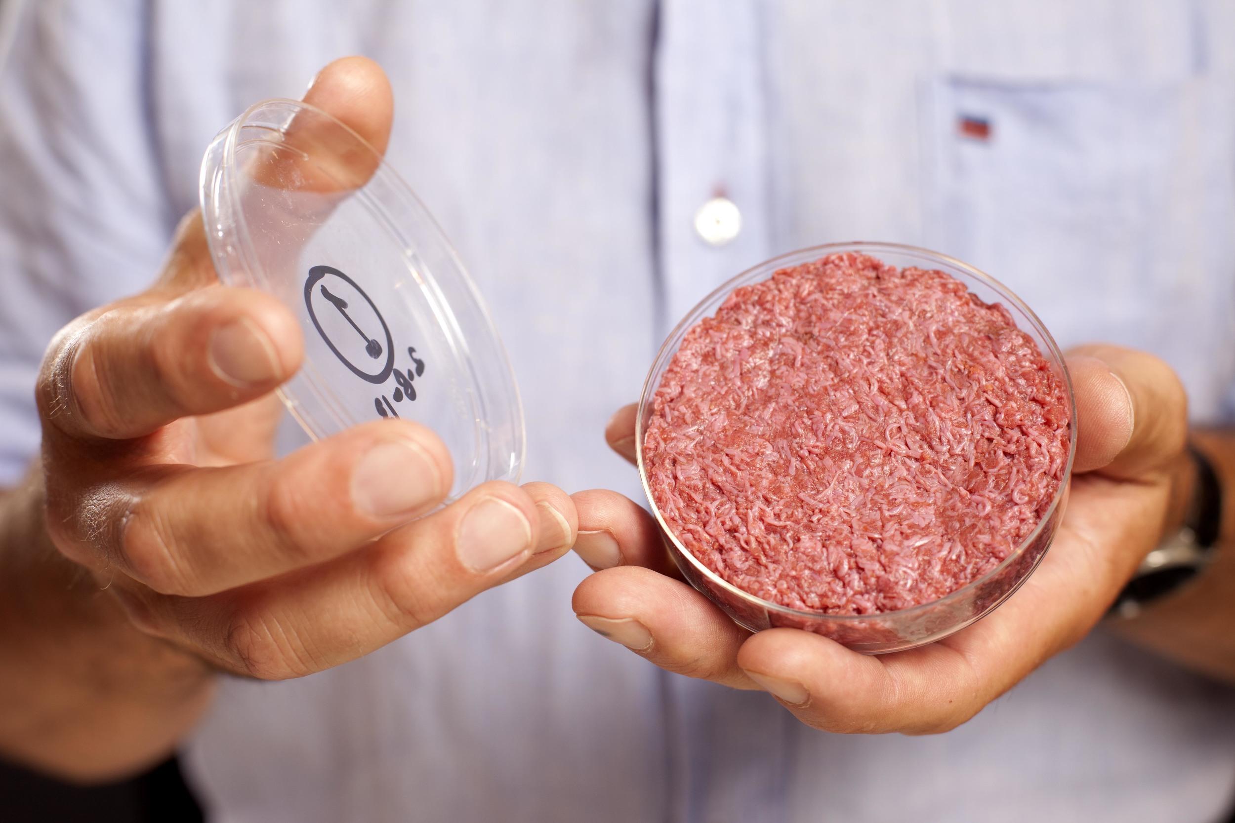 Meat made in laboratory is controversial for some, but can be a sustainable source