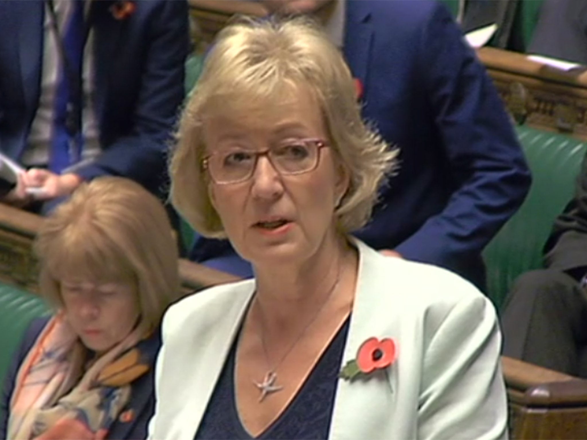 Andrea Leadsom said that under the new scheme those visiting and working in parliament will be able to do so free from 'unacceptable behaviour, bullying and harassment'