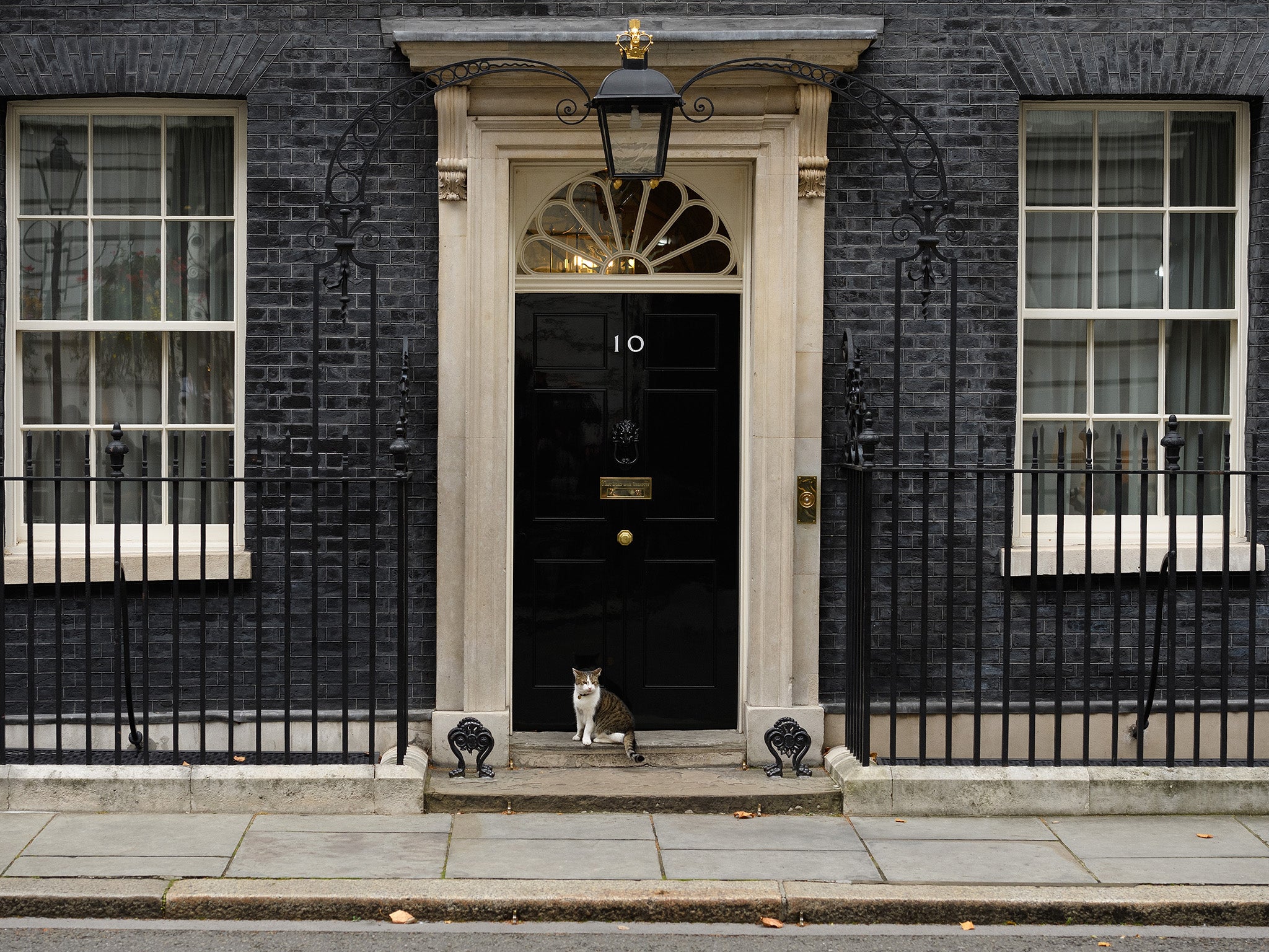 What will 2018 bring for the Prime Minister (and Larry the cat, for that matter)?