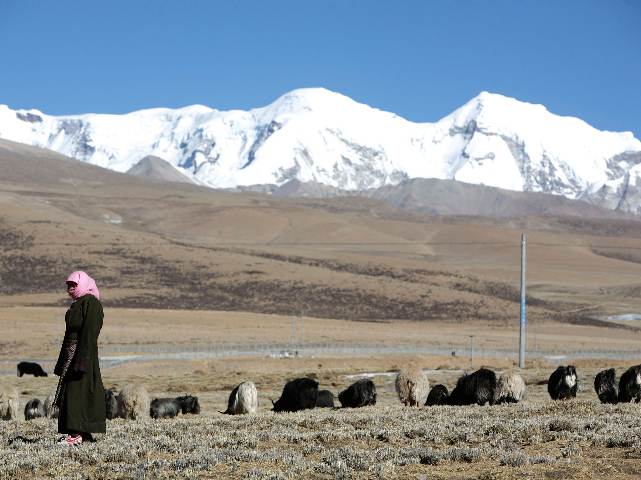 The quake struck at 6.34am local time, about 36 miles northeast of Nyingchi in rural Tibet