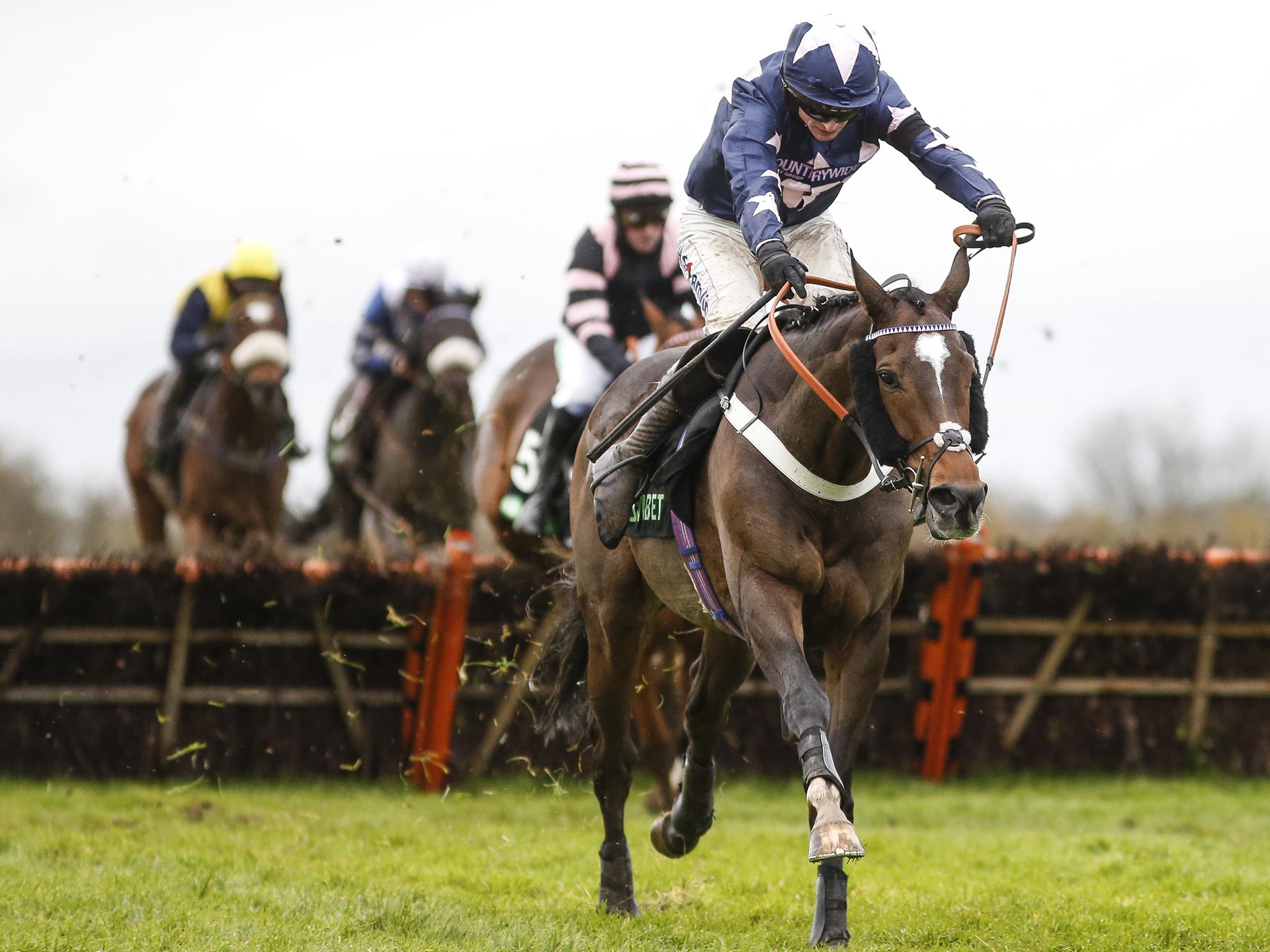 London Prize was the fourth horse to die at the Cheltenham meet this weekend