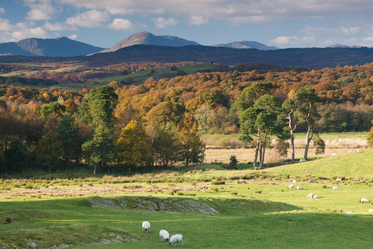 The National Trust is anxious about future erosion in the Lake District