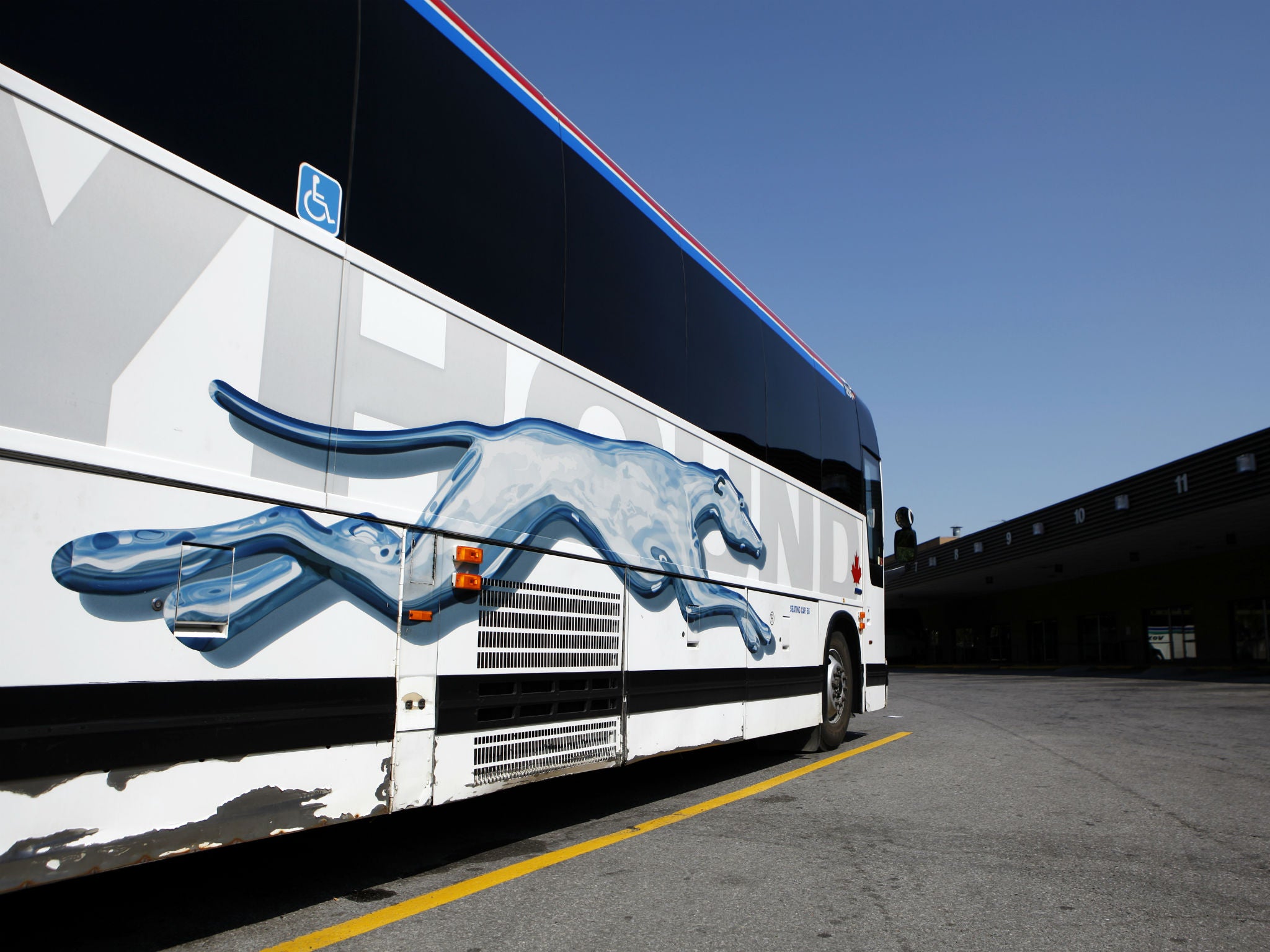 Mohammad Reza Sardari said he was riding a Greyhound bus, like this one at a bus terminal in Ottawa on September 3, 2009, when he was abruptly kicked off