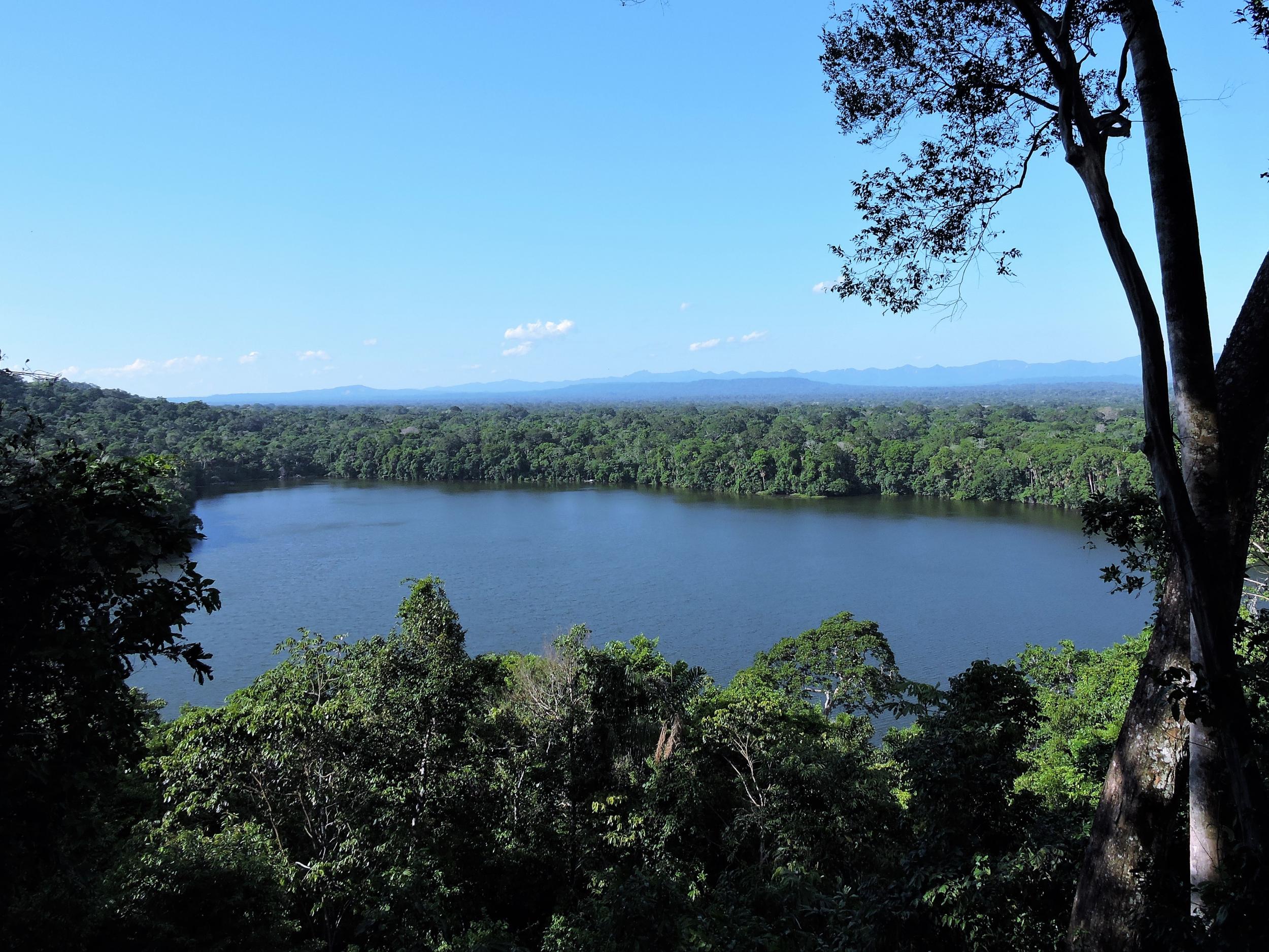 An Israeli tourist was lost in the jungle for three weeks